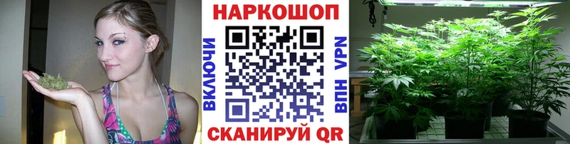 Наркота Вичуга СК  Меф мяу мяу  ГАШ  Бошки Шишки 