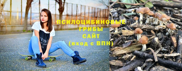 гашик Бугульма