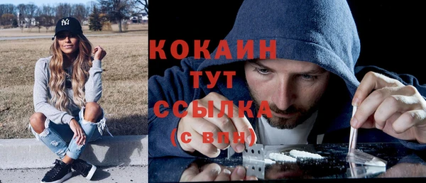 винт Бронницы