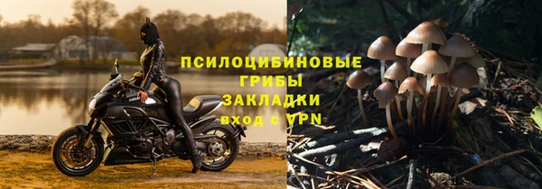 MDMA Бородино