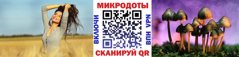 Псилоцибиновые грибы MAGIC MUSHROOMS  ОМГ ОМГ вход  Вичуга 