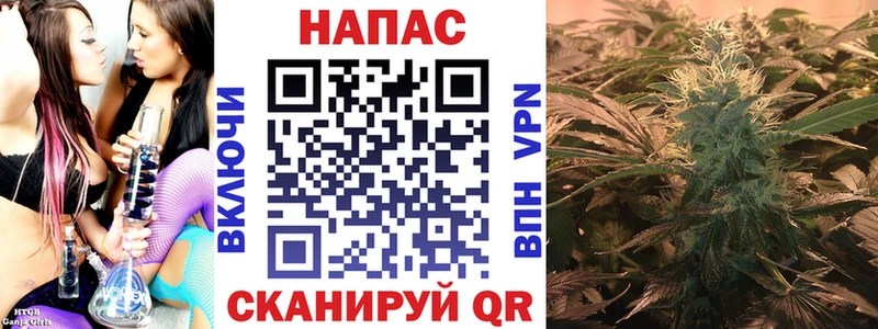 купить наркотик  Вичуга  Бошки Шишки ГИДРОПОН 